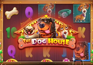 Игра The Dog House в казино 100 Пудов